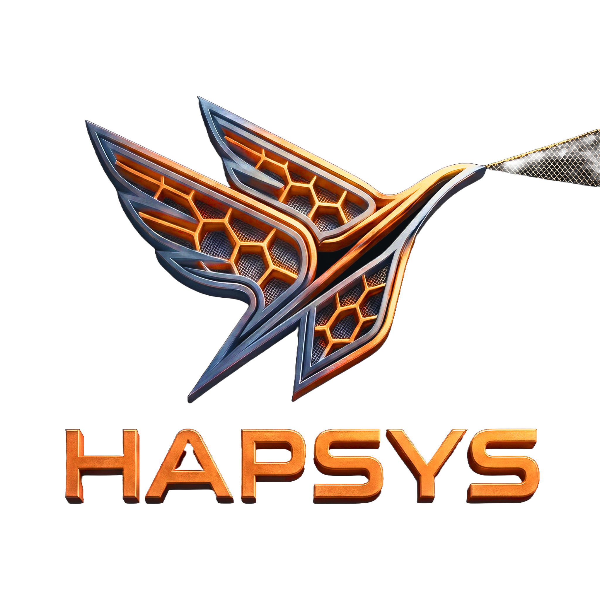 HAPSYS